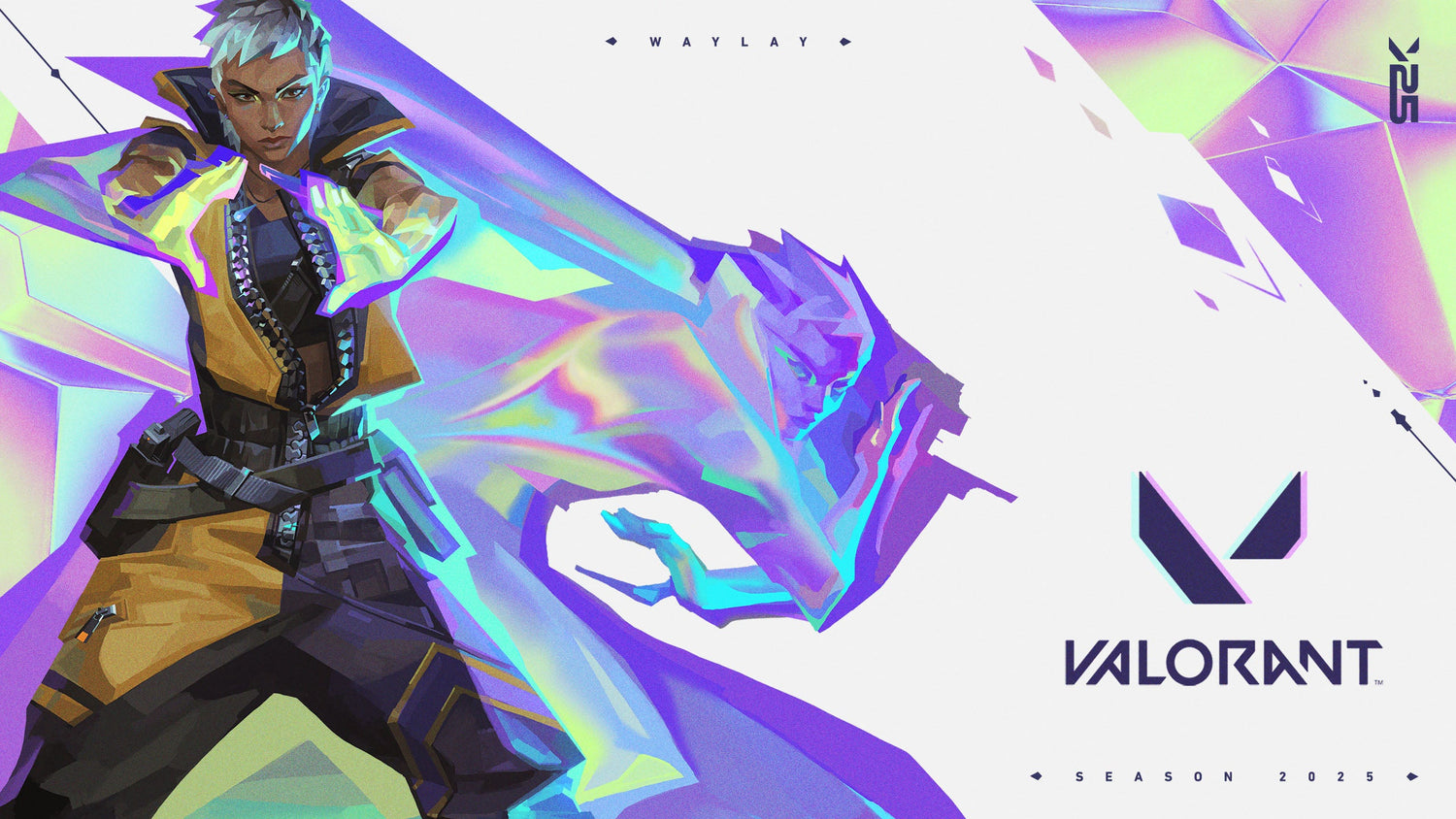 Valorant Accounts For Sale