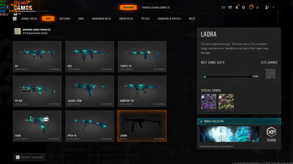 🪐 Nebula Camo Unlocked 🏅 500 Camos + Level 55 ⚡ Handmade 🔑 Full Access 🌐 Steam/BNet/PSN/Xbox 🎮 BO6 & WZ4